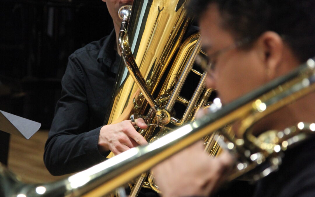 Les Vendredis de l’IESM au CRR d’Aix – musique de chambre et soliste – 13 mars 2026 – 12h30 en salle Villette